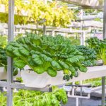 Optimstim Datasheet&hellip;