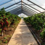 OptimaStim Labels&hellip;