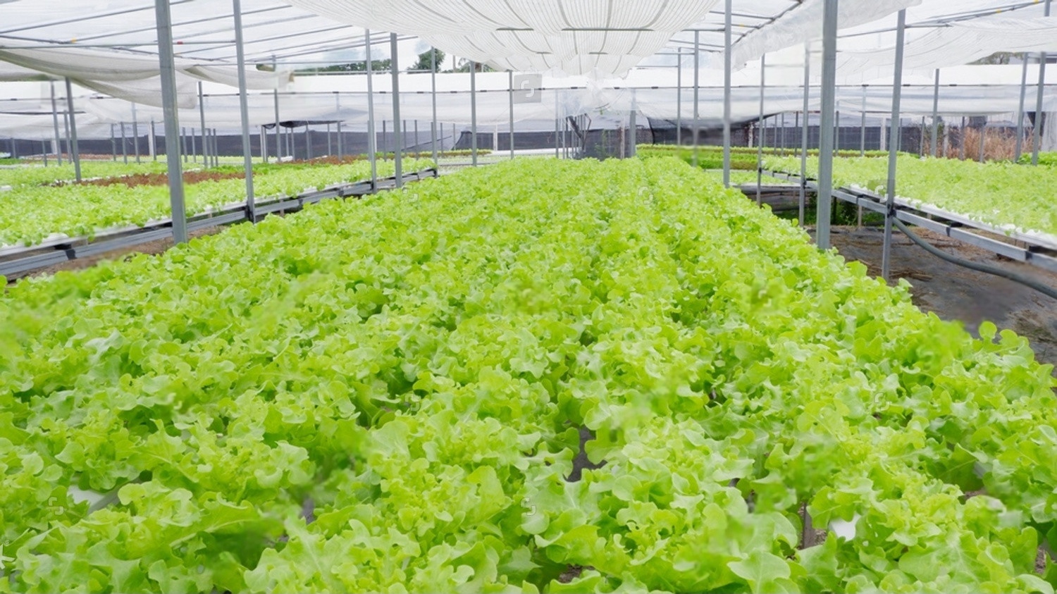 fetchpik.com TpXx14tAEa 1