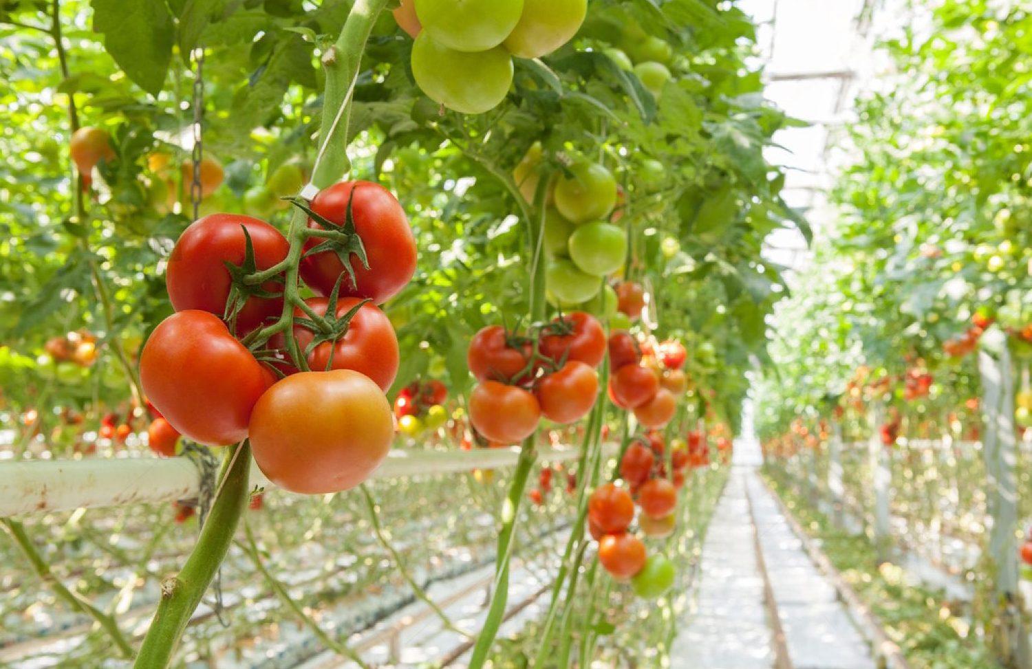 silder 4 e1760612697817