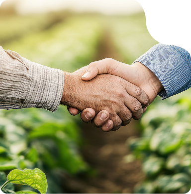 Strategic partnership